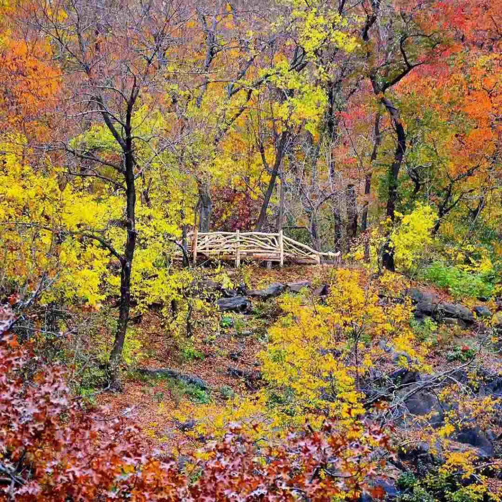 Hallett Nature Sanctuary