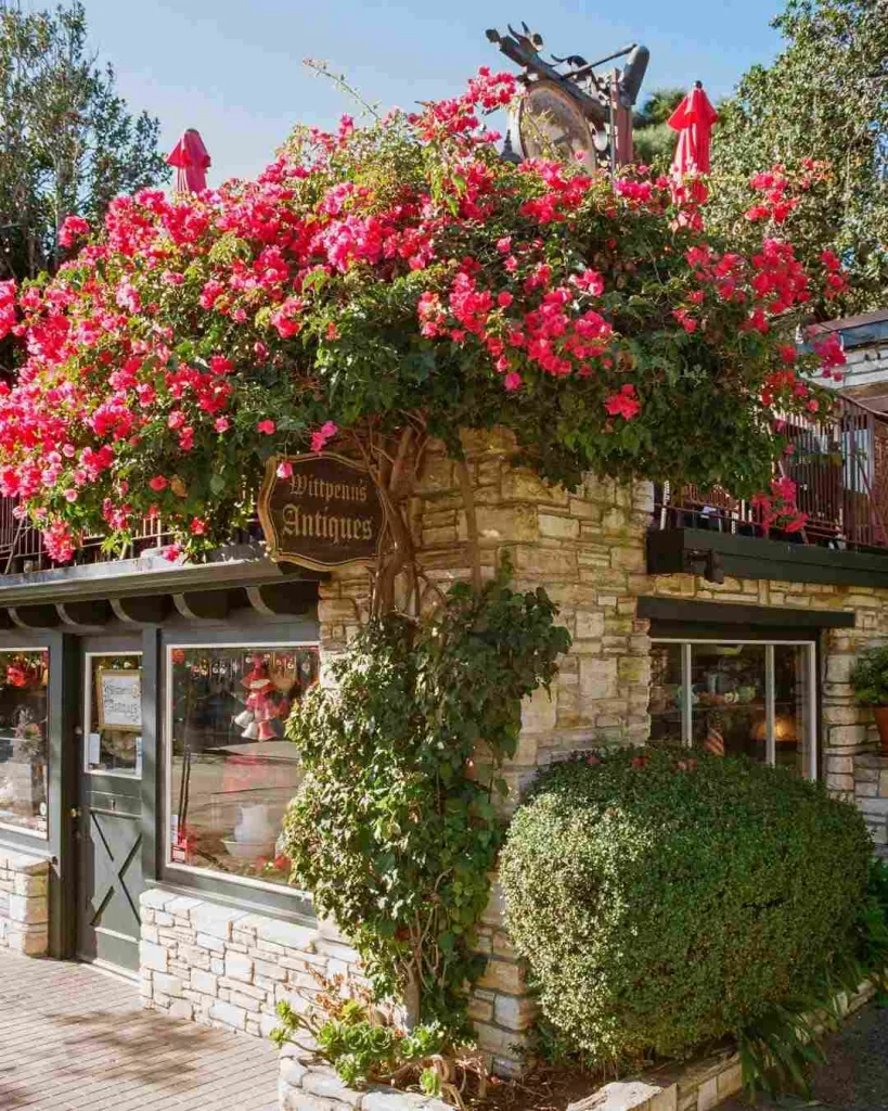 Afternoon Enjoy Coastal Views and History at Carmel by the Sea