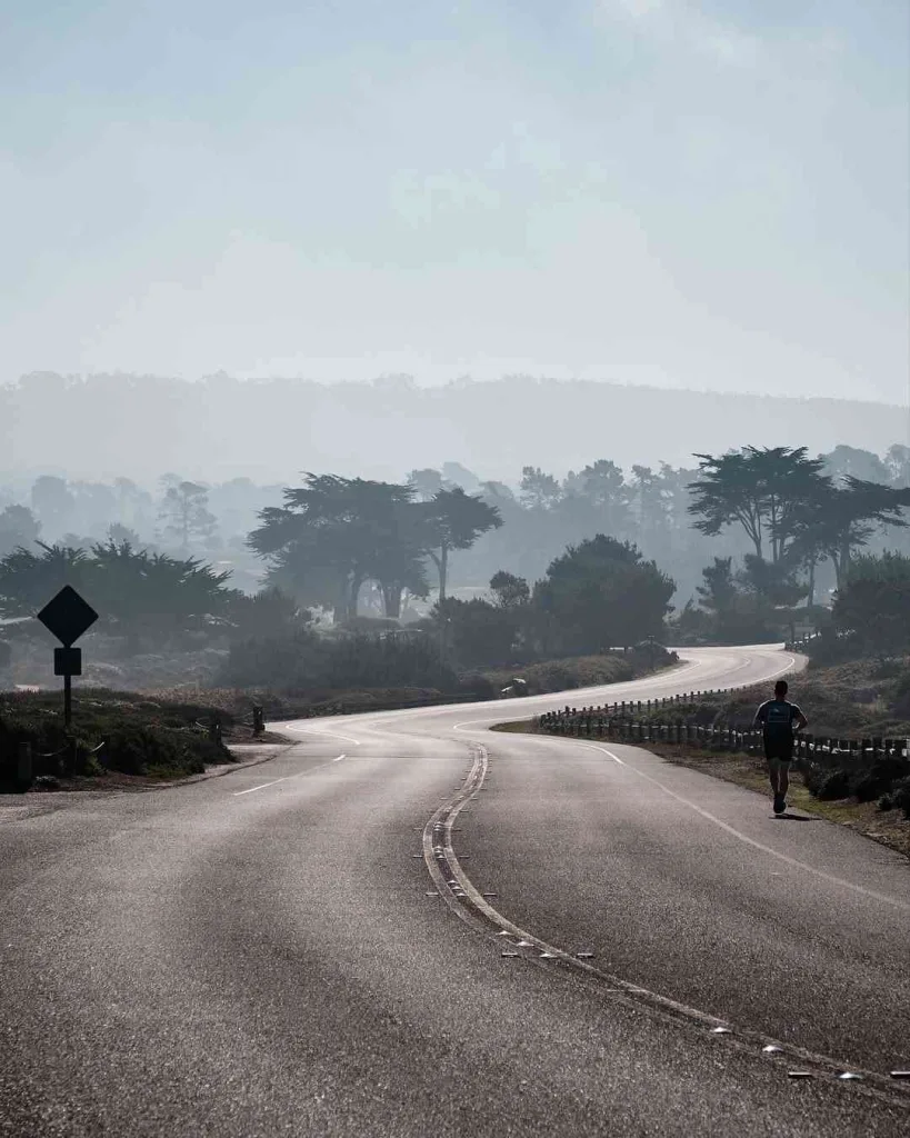 Best Times to Drive the 17-Mile Route