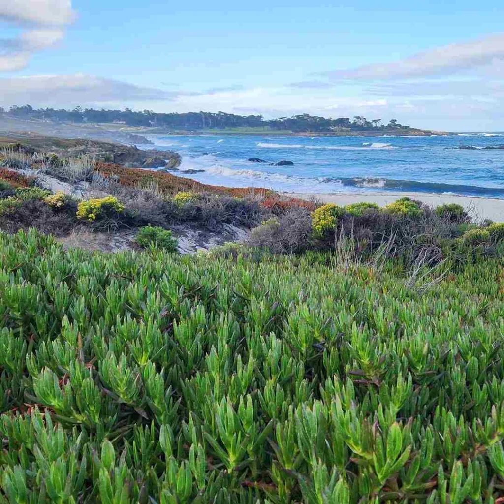 Entrance Information & Fee Details