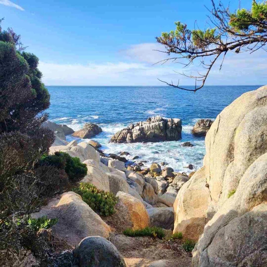 Fun Facts About 17-Mile Drive