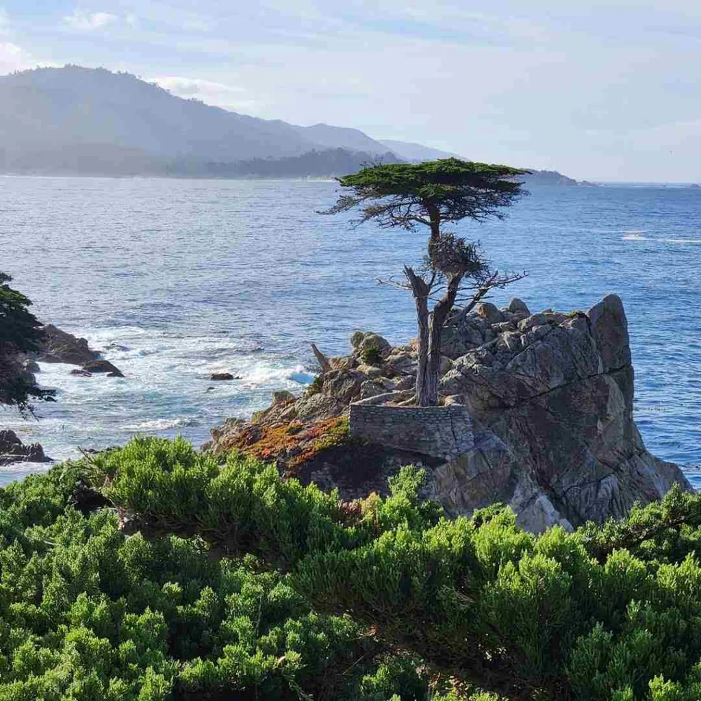 Guided Tours & Alternatives for 17-mile drive