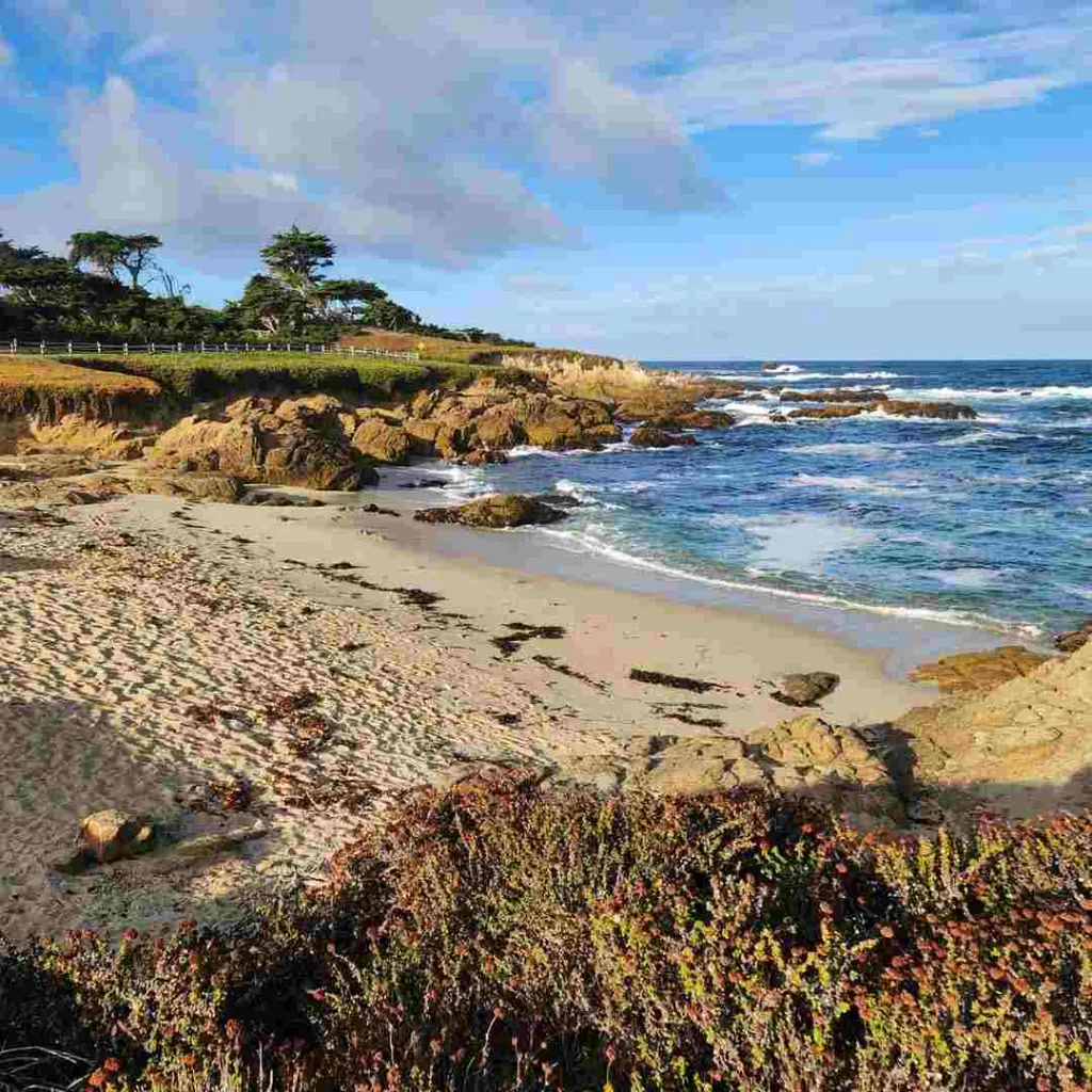 Must-See Stops on the 17-Mile Drive