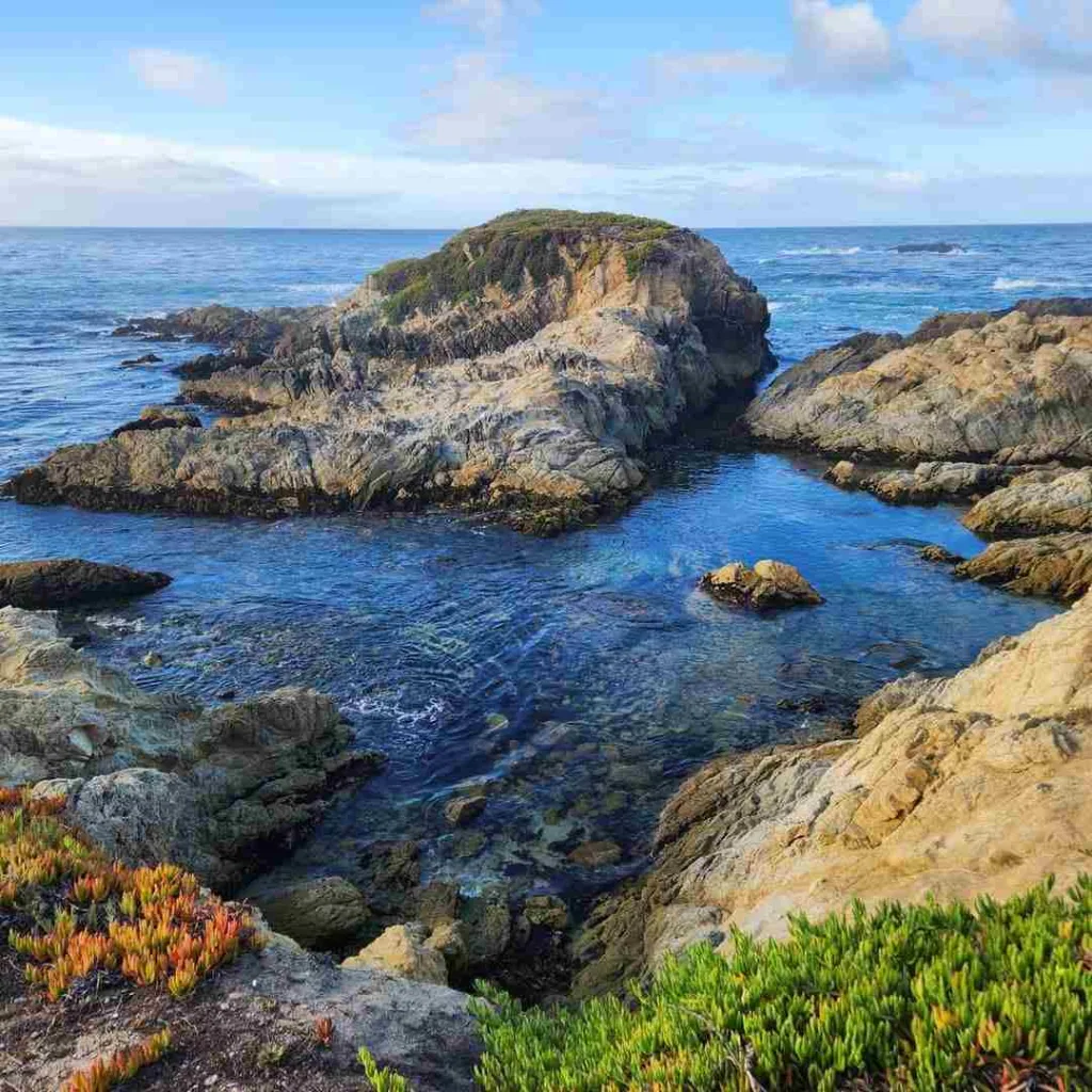 Related Activities and Attractions Nearby 17-mile drive