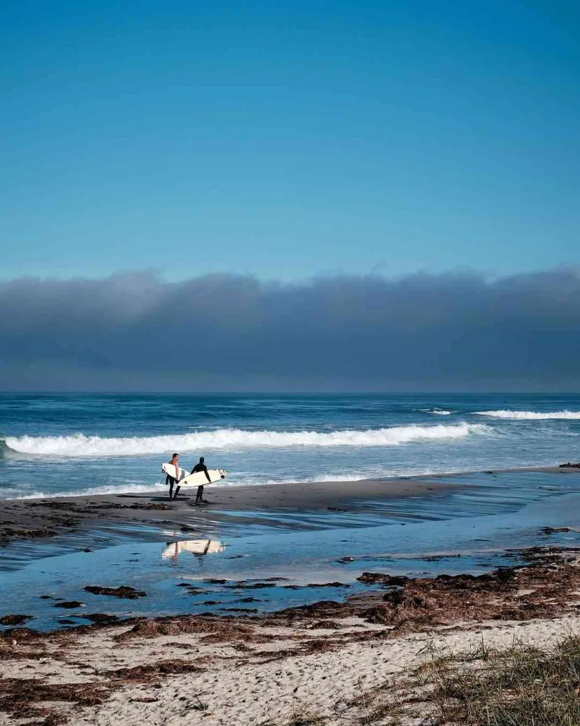 What to Know About the 17-Mile Drive