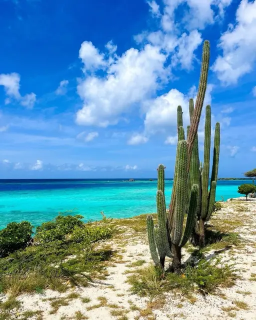 Photography Tips for Flamingo Beach Aruba